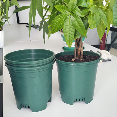 Potes redondos plásticos resistentes de la planta de los potes los 9cm del cuarto de niños de 6 pulgadas de Sun de la familia