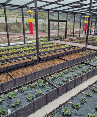 Altas cajas aumentadas plásticas del plantador de la prenda impermeable los 26CM para el peso ligero de los árboles frutales