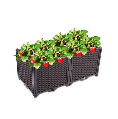 Frutas e hierbas de las verduras de las flores que plantan la cama del jardín del sistema de herramienta de la maceta del jardín del restaurante del balcón del jardín de la caja