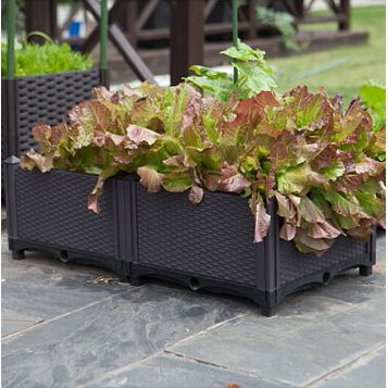 Las muestras fáciles de la degradación del jardín de la caja plástica larga adaptable del plantador ofrecieron