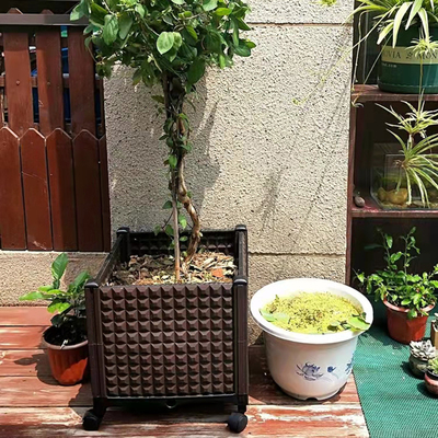 Uno mismo que riega el plantador plástico almacenable aumentado rectangular de la caja de la flor de la caja del plantador