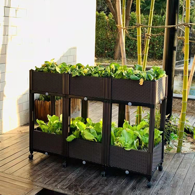 La flor plástica grande del servicio del OEM encajona los canales plásticos para las verduras antioxidantes