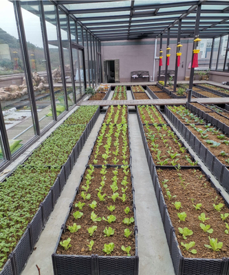 Caja plástica elevada multifuncional del plantador para la resistencia a las inclemencias del tiempo del crecimiento vegetal