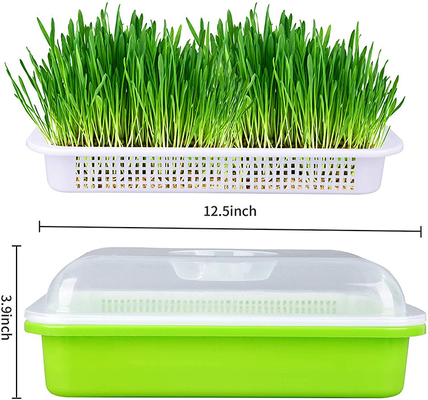 Brote ligero Tray Seed Germination Box Flexible de la semilla que transmite