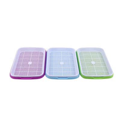 brote creciente Tray Biodegradable de la semilla de la alta agua plástica del 11cm