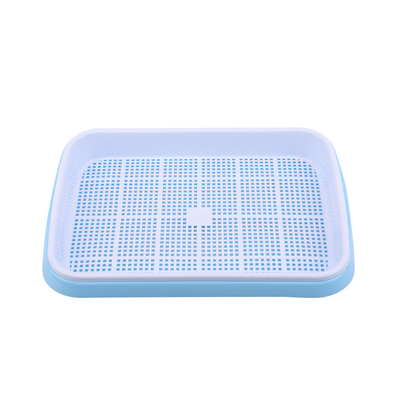 longitud Bean Sprout Growing Tray Two Tray Sprouter No Leakage de los 31cm