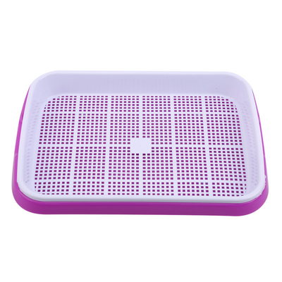 longitud Bean Sprout Growing Tray Two Tray Sprouter No Leakage de los 31cm