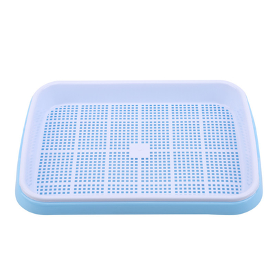 longitud Bean Sprout Growing Tray Two Tray Sprouter No Leakage de los 31cm