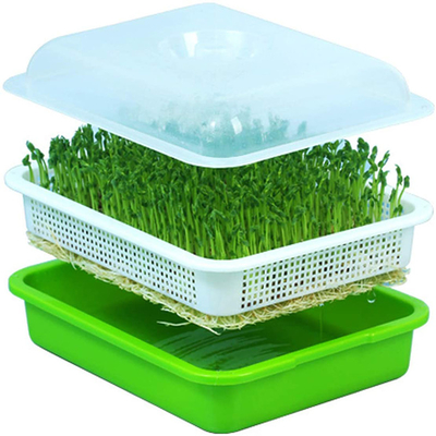 Brote interior Tray Eco Friendly de la semilla del polipropileno del cultivo del agua