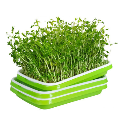 Bandejas reciclables del brote de los PP Microgreen con uso de la cocina de la tapa de la cubierta