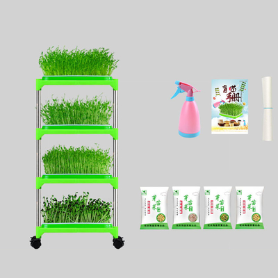 El PE cubrió el almácigo Tray Stand Mung Bean Sprouting Tray Environment amistoso