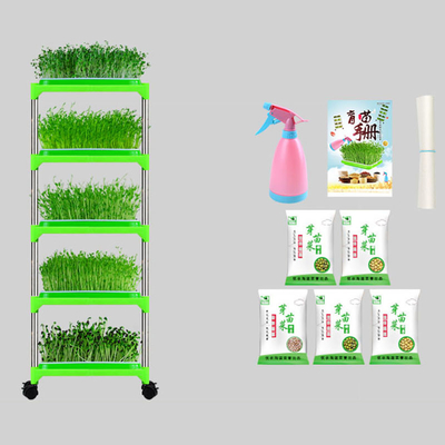 El PE cubrió el almácigo Tray Stand Mung Bean Sprouting Tray Environment amistoso
